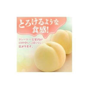 ふるさと納税 もも 岡山県 高梁市 2027年...の詳細画像5