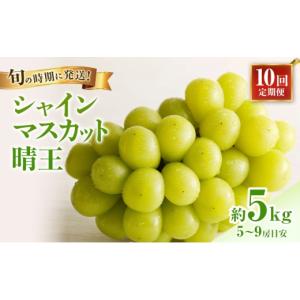 ふるさと納税 ぶどう マスカット 岡山県 高梁市 No.5615-0948 2026年先行受付 シャインマスカット 晴王 10回 定期便 秀品 大房 岡山県産 ぶどう ギフト 御礼 …