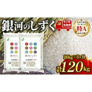ふるさと納税 米 岩手県 大船渡市 6ヶ月/定期...の商品画像