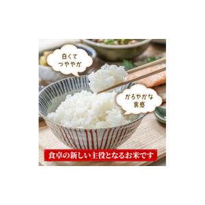 ふるさと納税 米 岩手県 大船渡市 6ヶ月/定...の詳細画像2