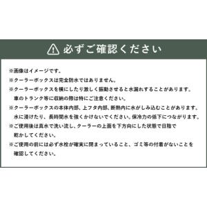 ふるさと納税 アウトドアグッズ クーラーボック...の詳細画像5