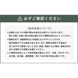 ふるさと納税 アウトドアグッズ クーラーボック...の詳細画像5