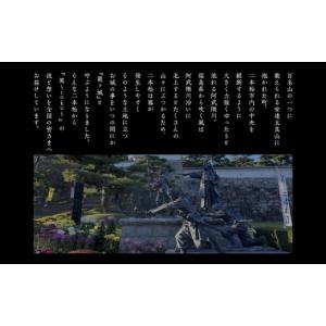 ふるさと納税 伝統技術 福島県 二本松市 革と...の詳細画像4