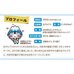 ふるさと納税 雑貨・日用品 キャラクター 長野...の詳細画像2