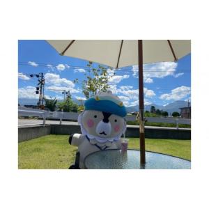 ふるさと納税 雑貨・日用品 キャラクター 長野...の詳細画像5