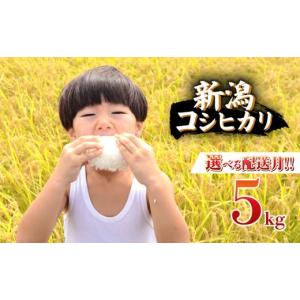 ふるさと納税 米 コシヒカリ 新潟県 新発田市 2026年7月中旬より順次配送 令和7年産 特別栽培米 コシヒカリ 5kg 単品 コンテスト 入賞 コンテスト 入賞米 米 …