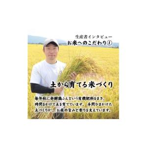 ふるさと納税 米 コシヒカリ 新潟県 新発田市...の詳細画像3