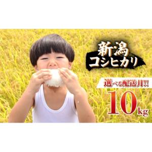 ふるさと納税 米 コシヒカリ 新潟県 新発田市 2026年7月中旬より順次配送 令和7年産 特別栽培米 コシヒカリ 10kg 単品 コンテスト 入賞 コンテスト 入賞米 米…