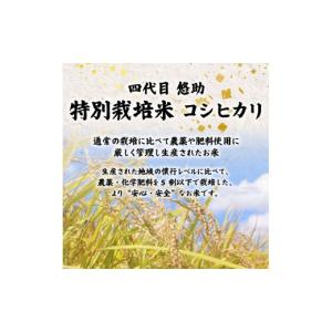 ふるさと納税 米 コシヒカリ 新潟県 新発田市...の詳細画像2
