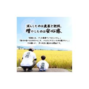 ふるさと納税 米 コシヒカリ 新潟県 新発田市...の詳細画像5