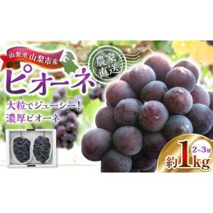 ふるさと納税 果物類 ぶどう 山梨県 中央市 山...の商品画像