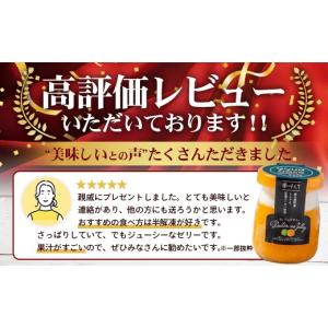 ふるさと納税 菓子 ゼリー 鹿児島県 南大隅町...の詳細画像2