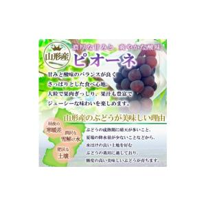ふるさと納税 ぶどう 山形県 山形市 ご家庭用...の詳細画像3