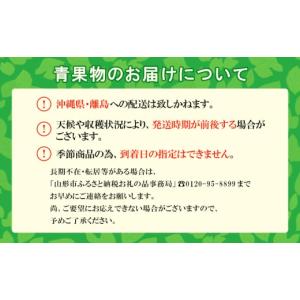 ふるさと納税 ぶどう 山形県 山形市 ご家庭用...の詳細画像5