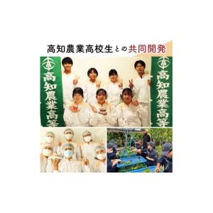 ふるさと納税 菓子 詰合せ 高知県 南国市 6...の詳細画像5