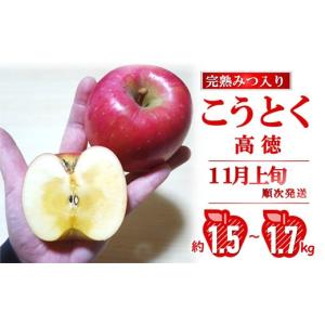 ふるさと納税 りんご 山形県 南陽市 令和8年産先行予約 完熟みつ入り こうとく(高徳) 約1.5〜1.7kg (6〜9玉) 《令和8年11月上旬〜発送》 全国りんご選手権 銀…
