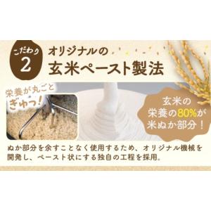 ふるさと納税 パスタ 生・半生めん 熊本県 菊...の詳細画像5