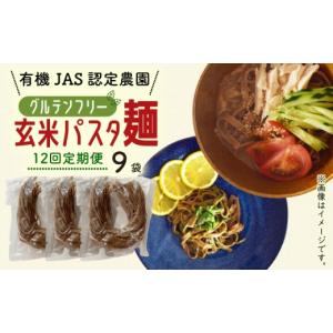 ふるさと納税 パスタ 生・半生めん 高知県 南...の詳細画像1