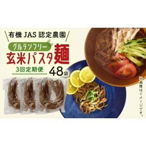 ふるさと納税 パスタ 生・半生めん 高知県 南国市 3回定期便 有機グアバ農園のグルテンフリー玄米パスタ麺 100g×48袋セット | 定期便 グルテン フリー グル…