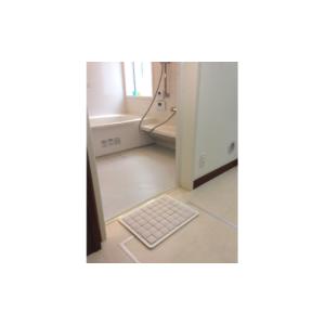 ふるさと納税 雑貨・日用品 大阪府 茨木市 吸水&速乾 洗える 珪藻土タイルバスマット ホワイト(コンパクト／Mサイズ) 1245799