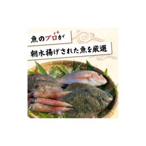 ふるさと納税 旬の鮮魚等 岩手県 大船渡市 下...の詳細画像2