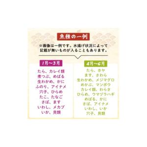 ふるさと納税 旬の鮮魚等 岩手県 大船渡市 下...の詳細画像3