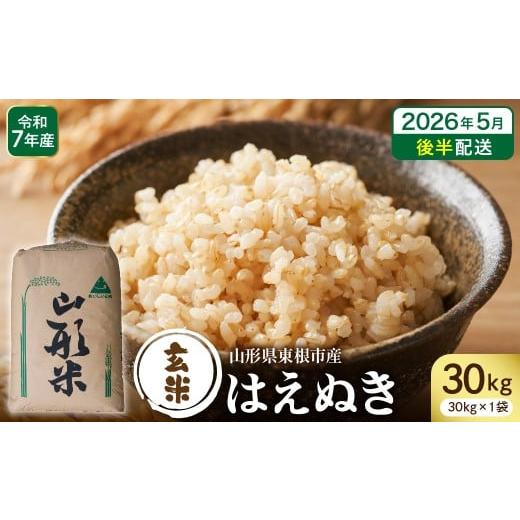ふるさと納税 米 はえぬき 山形県 東根市  令和7年産 2026年5月後半発送 玄米 はえぬき30...