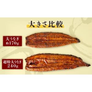 ふるさと納税 うなぎ 鹿児島県 鹿屋市 土用の...の詳細画像2