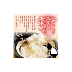 ふるさと納税 米 ミルキークイーン 新潟県 新...の詳細画像2