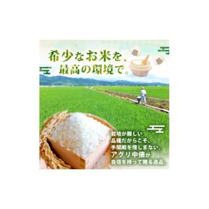 ふるさと納税 米 ミルキークイーン 新潟県 新...の詳細画像4