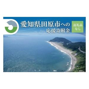 ふるさと納税 感謝状等 愛知県 田原市 《返礼品なし》愛知県田原市への寄付 応援寄附金 応援 選べる 金額 使い道 愛知県 田原市 渥美半島 5,000,000円