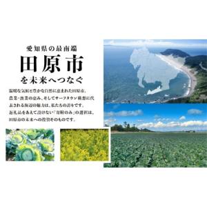 ふるさと納税 感謝状等 愛知県 田原市 《返礼...の詳細画像2