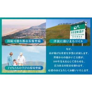 ふるさと納税 感謝状等 愛知県 田原市 《返礼...の詳細画像3