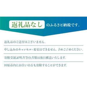 ふるさと納税 感謝状等 愛知県 田原市 《返礼...の詳細画像4
