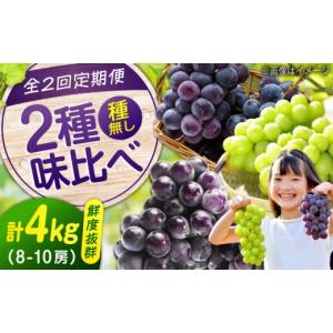 ふるさと納税 ぶどう マスカット 広島県 福山...の詳細画像1