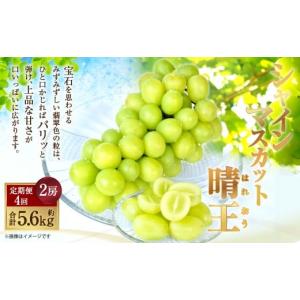 ふるさと納税 ぶどう マスカット 岡山県 倉敷市 HS 4回定期便 温室・露地 シャインマスカット 晴王 2房（合計約1.4kg） 2026年7月上旬〜10月下旬発送予定 マ…