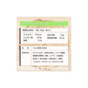 ふるさと納税 美容 山口県 下関市 WPIマス...の詳細画像4