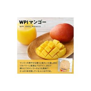 ふるさと納税 美容 山口県 下関市 WPIマン...の詳細画像2
