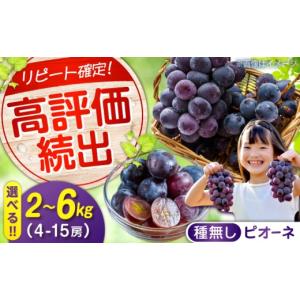 ふるさと納税 果物類 ぶどう 広島県 福山市 ...の詳細画像1