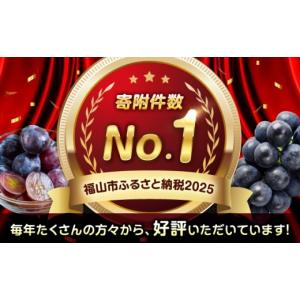 ふるさと納税 果物類 ぶどう 広島県 福山市 ...の詳細画像2