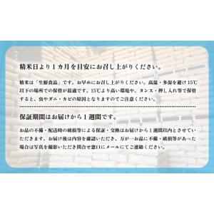 ふるさと納税 米 茨城県 下妻市 9月発送 (...の詳細画像5