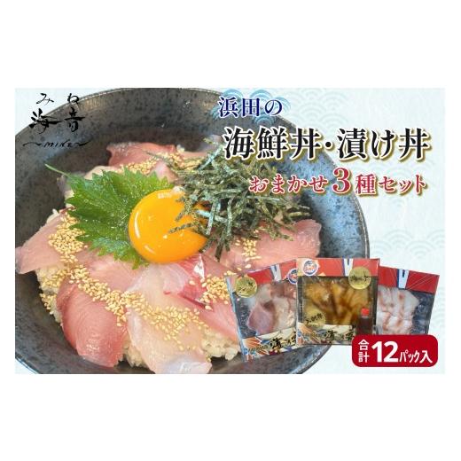 ふるさと納税 魚貝類 島根県 浜田市 浜田の海鮮丼・漬け丼おまかせ3種セット 12パック 魚 魚介類...