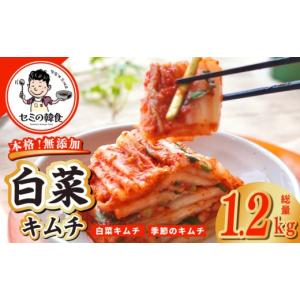 ふるさと納税 梅干・漬物・キムチ 大阪府 泉佐野市 期間限定 韓国人が作る 無添加・砂糖不使用の白菜キムチ 総量 1.2kg 高評価 人気 惣菜 きむち 漬物 韓国グ…