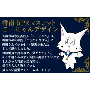 ふるさと納税 金工品 高知県 香南市 銀 こー...の詳細画像2