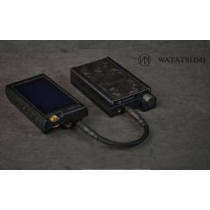 ふるさと納税 TV・オーディオ・カメラ 群馬県 玉村町 WATATSUMI ポータブルアンプ 高音質 ブリスオーディオ