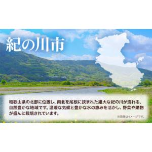 ふるさと納税 米 ブレンド 和歌山県 紀の川市...の詳細画像3