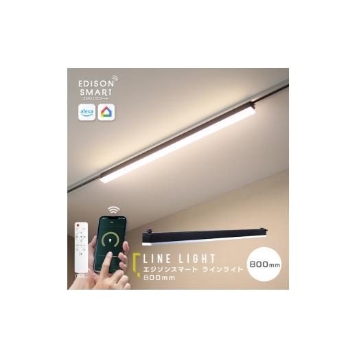 ふるさと納税 雑貨・日用品 福岡県 福岡市 エジソンスマート ラインライト 800mm for ダク...
