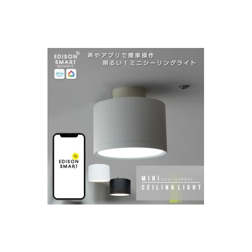 ふるさと納税 雑貨・日用品 福岡県 福岡市 エジソンスマート ミニシーリングライト 引掛けシーリング...