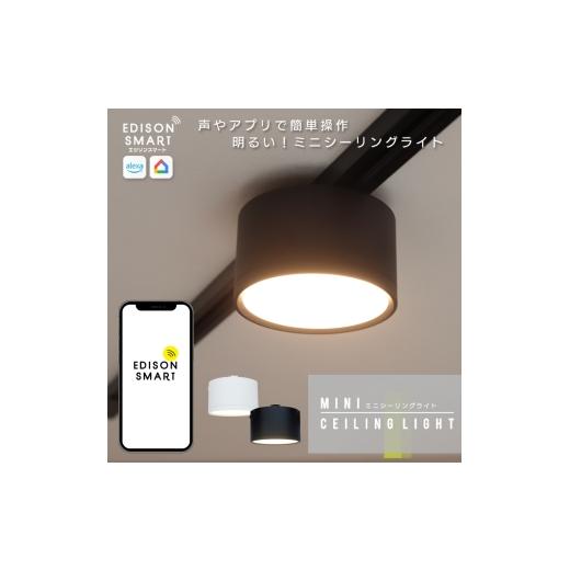 ふるさと納税 雑貨・日用品 福岡県 福岡市 エジソンスマート ミニシーリングライト for ダクトレ...