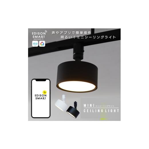 ふるさと納税 雑貨・日用品 福岡県 福岡市 エジソンスマート ミニシーリングライト アーム付き(ダク...